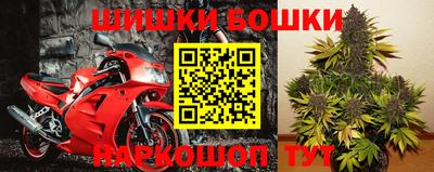 гидра Кандалакша