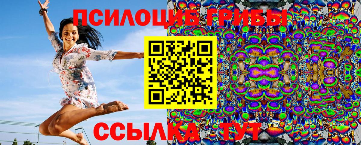 Псилоцибиновые грибы Psilocybe  Вход с VPN  Красноуфимск 