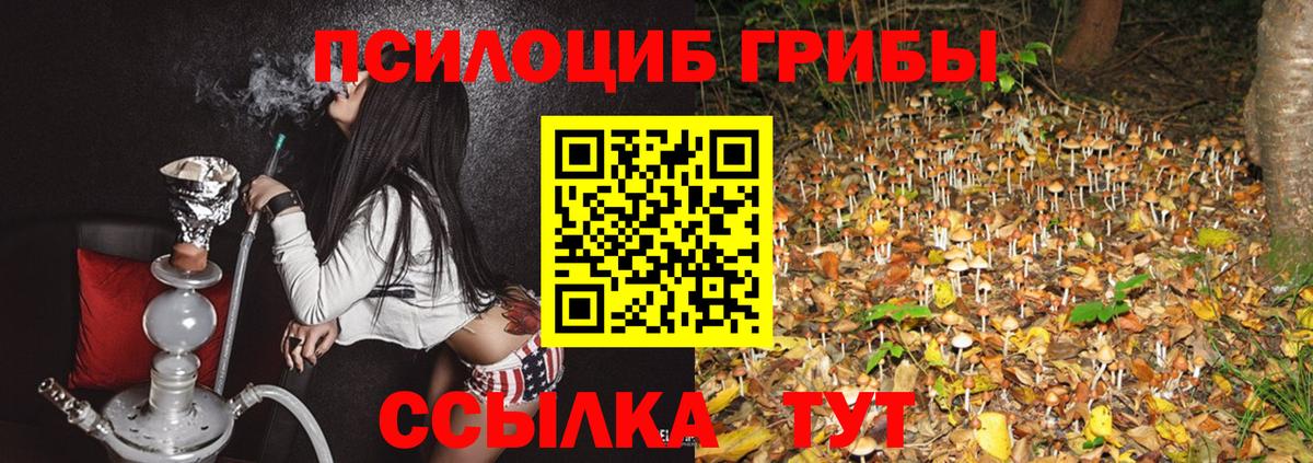 Галлюциногенные грибы GOLDEN TEACHER Красноуфимск
